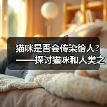 猫咪是否会传染给人?——探讨猫咪和人类之间的健康关系(图3) 猫咪是否会传染给人?——探讨猫咪和人类之间的健康关系(图3)