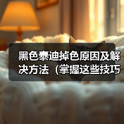 黑色泰迪掉色原因及解决方法（掌握这些技巧让你的黑色泰迪不再掉色）（图2）