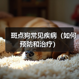 斑点狗常见疾病（如何预防和治疗）（图1）