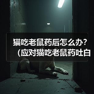 猫吃老鼠药后怎么办？（应对猫吃老鼠药吐白沫的有效方法）（图4）