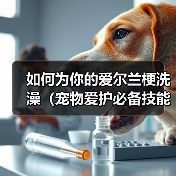 如何为你的爱尔兰梗洗澡(宠物爱护必备技能,学会正确给爱尔兰梗洗澡)(图2) 如何为你的爱尔兰梗洗澡(宠物爱护必备技能,学会正确给爱尔兰梗洗澡)(图2)
