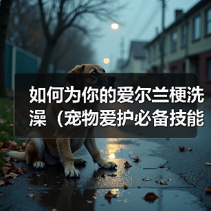 如何为你的爱尔兰梗洗澡(宠物爱护必备技能,学会正确给爱尔兰梗洗澡)(图4) 如何为你的爱尔兰梗洗澡(宠物爱护必备技能,学会正确给爱尔兰梗洗澡)(图4)