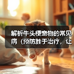 解析牛头梗宠物的常见病(预防胜于治疗,让我们一起了解牛头梗的健康问题)(图2) 解析牛头梗宠物的常见病(预防胜于治疗,让我们一起了解牛头梗的健康问题)(图2)