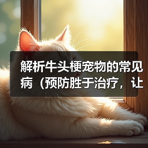 解析牛头梗宠物的常见病(预防胜于治疗,让我们一起了解牛头梗的健康问题)(图1) 解析牛头梗宠物的常见病(预防胜于治疗,让我们一起了解牛头梗的健康问题)(图1)