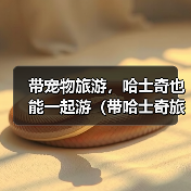 带宠物旅游，哈士奇也能一起游（带哈士奇旅游需要注意的问题）（图3）