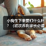 小狗生下来要打什么针？（初次养狗家长必读，宠物健康从“疫苗”开始！）（图4）