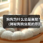 狗狗为什么总是臭屁？（揭秘狗狗臭屁的原因和解决方法）（图3）