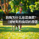 狗狗为什么总是臭屁？（揭秘狗狗臭屁的原因和解决方法）（图1）