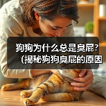 狗狗为什么总是臭屁？（揭秘狗狗臭屁的原因和解决方法）（图2）
