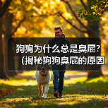 狗狗为什么总是臭屁？（揭秘狗狗臭屁的原因和解决方法）（图4）