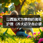 以西施犬为宠物的简易护理（养犬初学者必读、打造健康快乐的宠物生活）（图3）