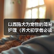 以西施犬为宠物的简易护理（养犬初学者必读、打造健康快乐的宠物生活）（图4）