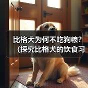 比格犬为何不吃狗粮?(探究比格犬的饮食习惯及注意事项)(图3) 比格犬为何不吃狗粮?(探究比格犬的饮食习惯及注意事项)(图3)