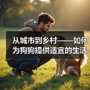 从城市到乡村——如何为狗狗提供适宜的生活环境(狗狗饲养需要考虑的因素及方法)(图4) 从城市到乡村——如何为狗狗提供适宜的生活环境(狗狗饲养需要考虑的因素及方法)(图4)