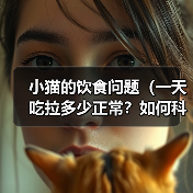 小猫的饮食问题(一天吃拉多少正常?如何科学喂养?)(图3) 小猫的饮食问题(一天吃拉多少正常?如何科学喂养?)(图3)