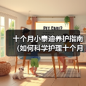 十个月小泰迪养护指南（如何科学护理十个月大的泰迪狗？）（图1）