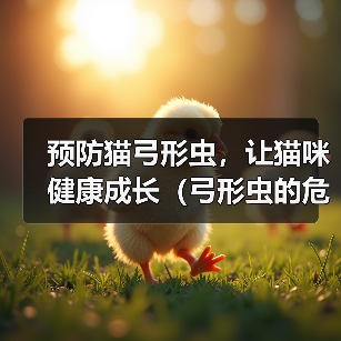 预防猫弓形虫，让猫咪健康成长（弓形虫的危害及预防措施）（图4）
