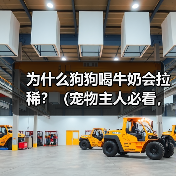 为什么狗狗喝牛奶会拉稀？（宠物主人必看，狗狗喝牛奶的真相揭秘）（图4）