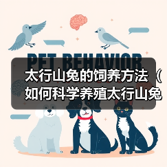 太行山兔的饲养方法（如何科学养殖太行山兔，让它们健康快乐地成长）（图4）