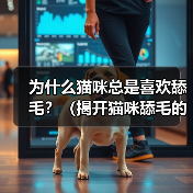 为什么猫咪总是喜欢舔毛？（揭开猫咪舔毛的5个原因）（图3）