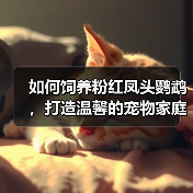 如何饲养粉红凤头鹦鹉，打造温馨的宠物家庭（从购买到喂养，全面解析饲养技巧）（图3）