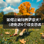 如何正确饲养萨摩犬？（避免这6个喂食忌讳，让你的萨摩犬健康快乐）