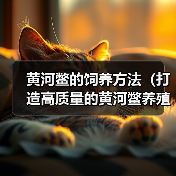 黄河鳖的饲养方法（打造高质量的黄河鳖养殖之路）（图2）