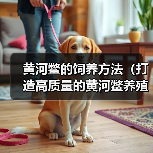 黄河鳖的饲养方法（打造高质量的黄河鳖养殖之路）（图4）