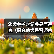 幼犬养护之笼养是否适宜（探究幼犬是否适合长期关在笼子中及影响因素）