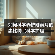 如何科学养护刚满月的惠比特（科学护理——让你的惠比特宠物健康成长）