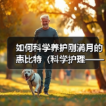 如何科学养护刚满月的惠比特（科学护理——让你的惠比特宠物健康成长）