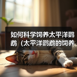 如何科学饲养太平洋鹦鹉（太平洋鹦鹉的饲养方法与技巧）（图2）
