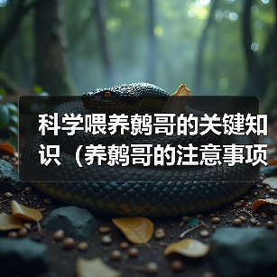 科学喂养鹩哥的关键知识（养鹩哥的注意事项及喂养技巧）