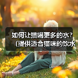 如何让猫喝更多的水?(提供适合猫咪的饮水环境和方式) 如何让猫喝更多的水?(提供适合猫咪的饮水环境和方式)