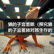 猫的子宫蓄脓（探究猫的子宫蓄脓对其生存的威胁，以及处理这一问题的关键方法）