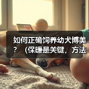 如何正确饲养幼犬博美？（保暖是关键，方法很重要）