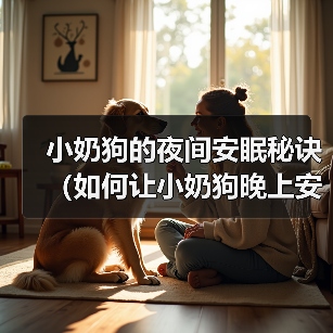小奶狗的夜间安眠秘诀（如何让小奶狗晚上安心入眠）