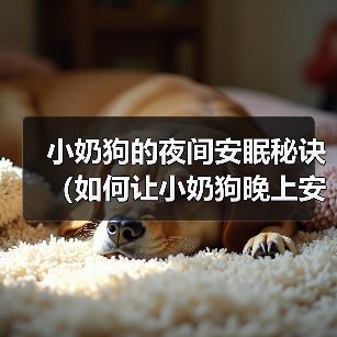 小奶狗的夜间安眠秘诀（如何让小奶狗晚上安心入眠）