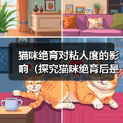 猫咪绝育对粘人度的影响（探究猫咪绝育后是否会更加亲人的现象及其原因）