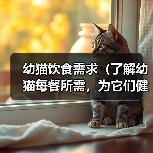 幼猫饮食需求(了解幼猫每餐所需,为它们健康成长铺路)(图3) 幼猫饮食需求(了解幼猫每餐所需,为它们健康成长铺路)(图3)