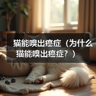 猫能嗅出癌症（为什么猫能嗅出癌症？）（图4）