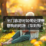 出门旅游时如何处理宠物狗的问题(带狗狗一起旅行,轻松解决困扰)(图3) 出门旅游时如何处理宠物狗的问题(带狗狗一起旅行,轻松解决困扰)(图3)