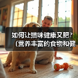 如何让猫咪健康又肥?(营养丰富的食物和健康猫粮的选择)(图4) 如何让猫咪健康又肥?(营养丰富的食物和健康猫粮的选择)(图4)