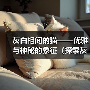 灰白相间的猫——优雅与神秘的象征（探索灰白猫的独特之美）（图1）