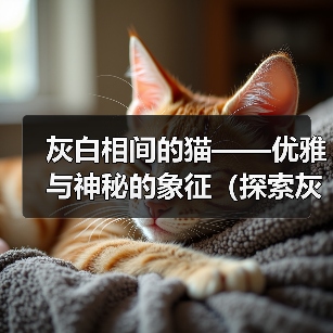 灰白相间的猫——优雅与神秘的象征（探索灰白猫的独特之美）（图4）