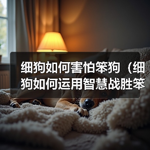细狗如何害怕笨狗(细狗如何运用智慧战胜笨狗)(图1) 细狗如何害怕笨狗(细狗如何运用智慧战胜笨狗)(图1)
