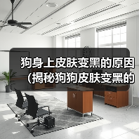 狗身上皮肤变黑的原因（揭秘狗狗皮肤变黑的5大原因）（图3）
