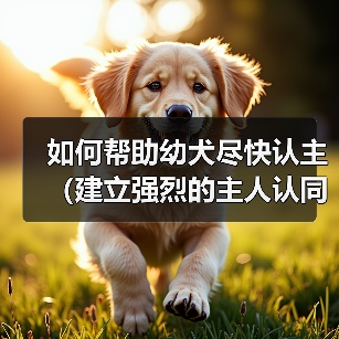 如何帮助幼犬尽快认主(建立强烈的主人认同感,促进快速适应新环境)(图2) 如何帮助幼犬尽快认主(建立强烈的主人认同感,促进快速适应新环境)(图2)