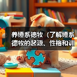 养锤系德牧（了解锤系德牧的起源、性格和训练要点）（图4）