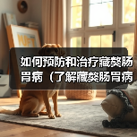 如何预防和治疗藏獒肠胃病（了解藏獒肠胃病的症状和治疗方法）（图1）